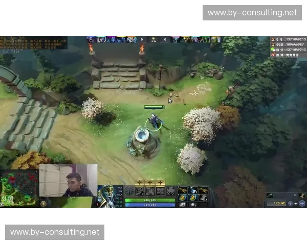 芒果在Dota2中的战术价值与使用技巧解析